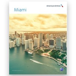 AA Miami Poster