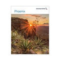 AA Phoenix Poster