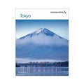 AA Tokyo Poster
