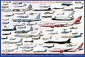 Am Aviation 1946-2010 Poster