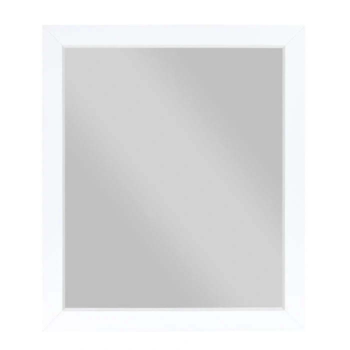 B2012-6 - Mirror