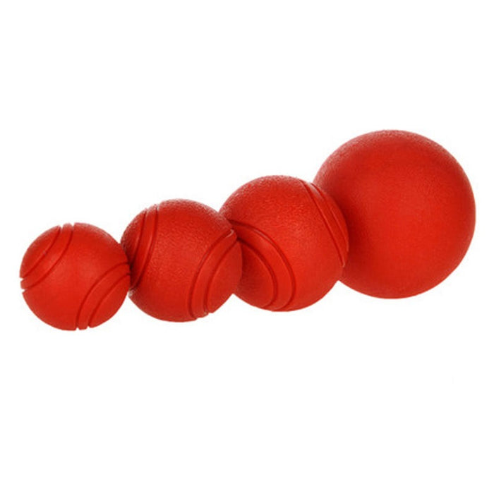 Bite-Resistant Rubber Dog's Ball