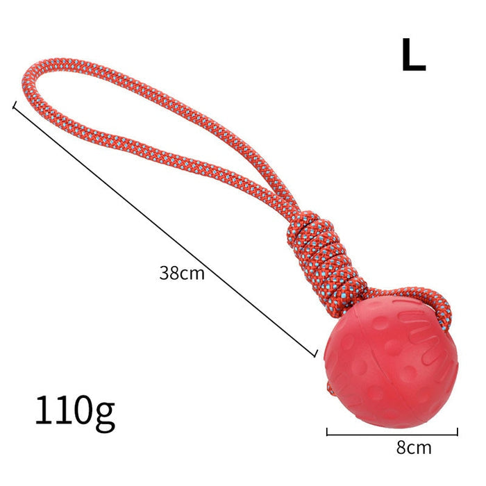 Bite-Resistant Rubber Dog's Ball