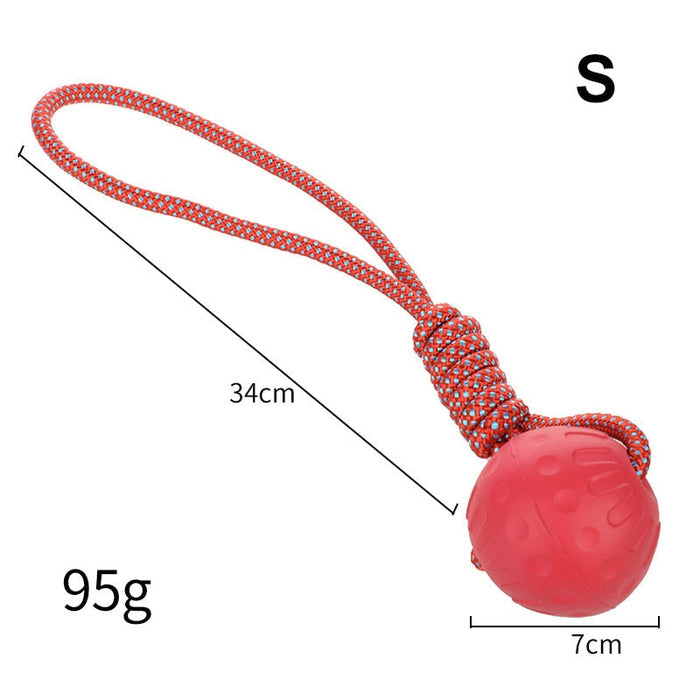 Bite-Resistant Rubber Dog's Ball