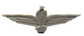 Captain Lapel Pin