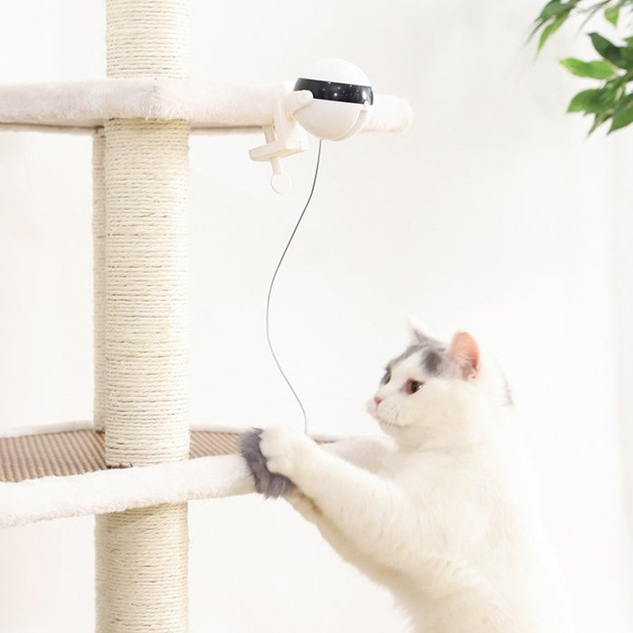 Cat's Electric Teaser Toy