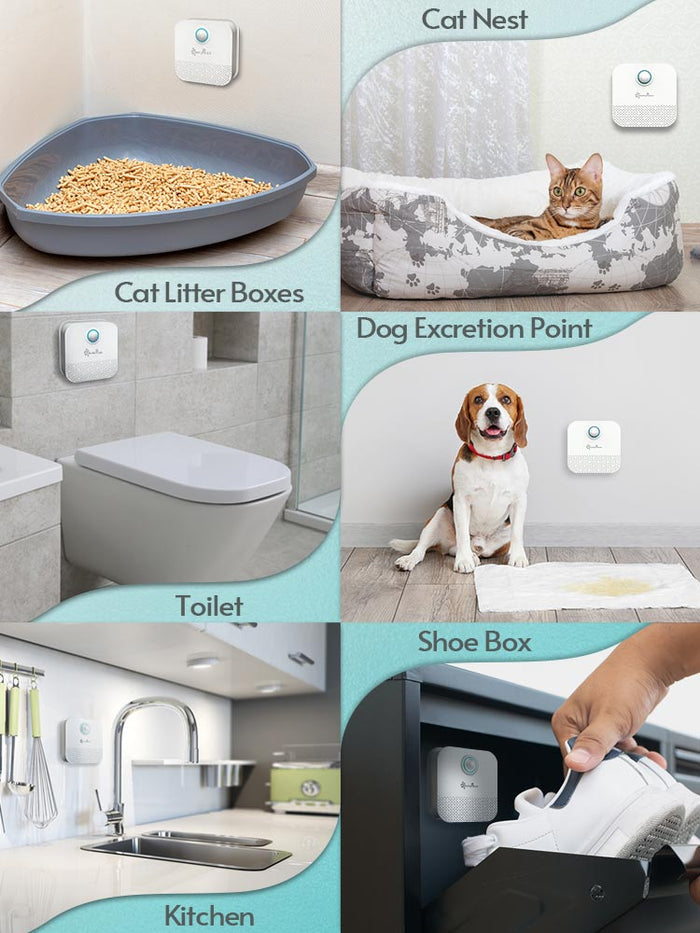 Cat's Smart Odor Purifier