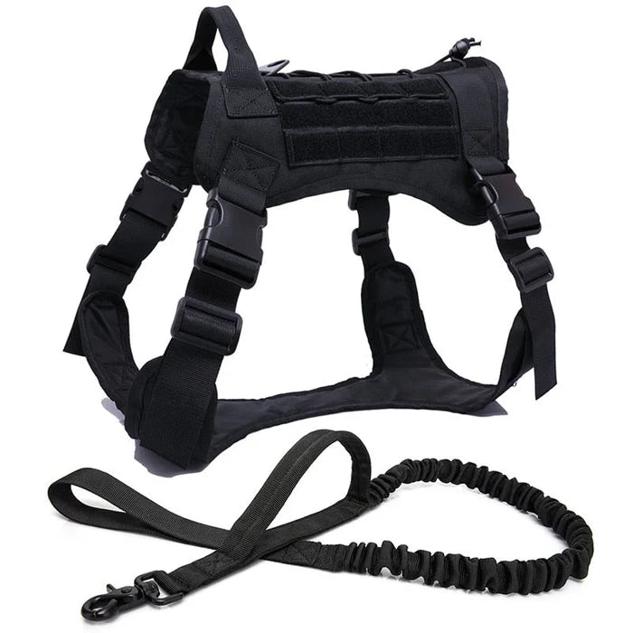 Dog Harness and Leash Set With Nylon Handle