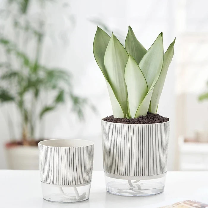 Self Absorbent Flowerpot Plastic Hydroponic Lazy Flowerpot Thickened Water Storage Plant Pot Desktop Potted Planter Home Decor-Letifly Lights and Decor