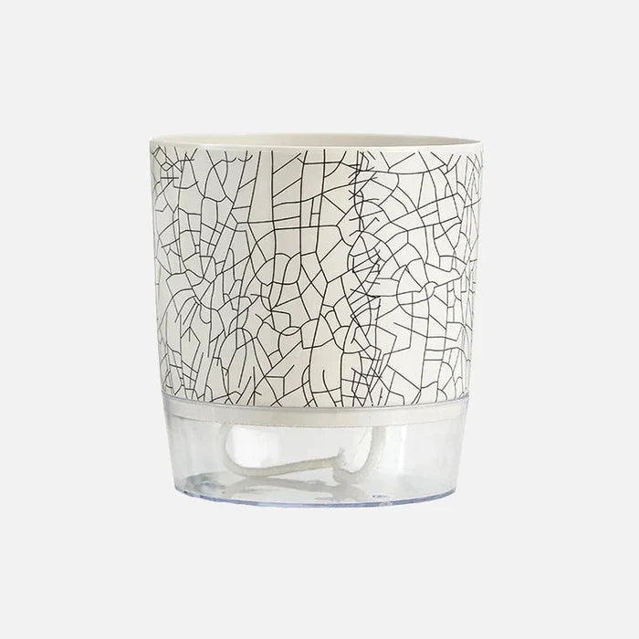 Small / Crackle