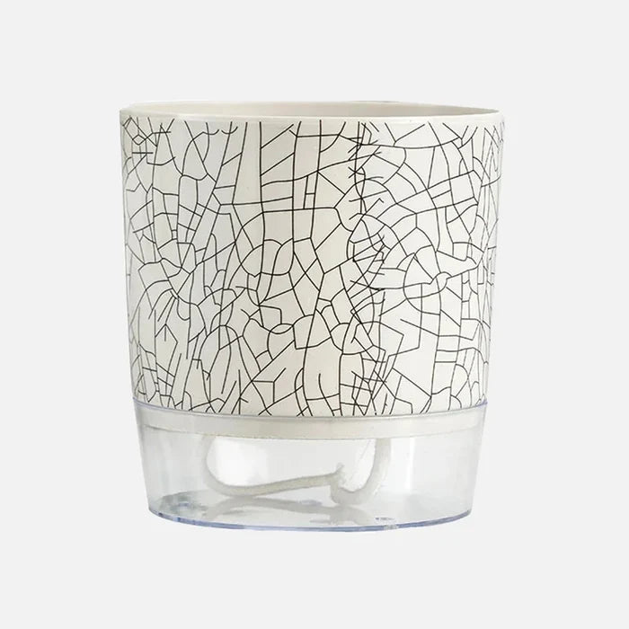 Large / Crackle