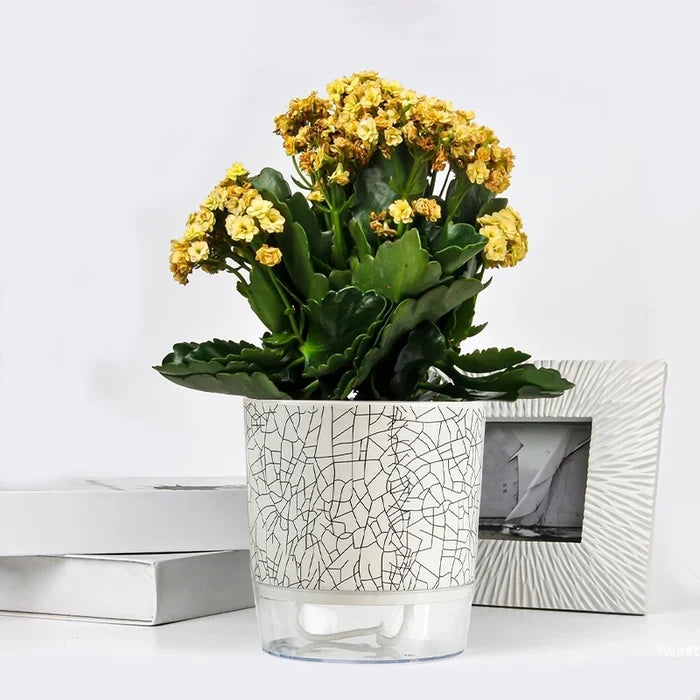 Self Absorbent Flowerpot Plastic Hydroponic Lazy Flowerpot Thickened Water Storage Plant Pot Desktop Potted Planter Home Decor-Letifly Lights and Decor