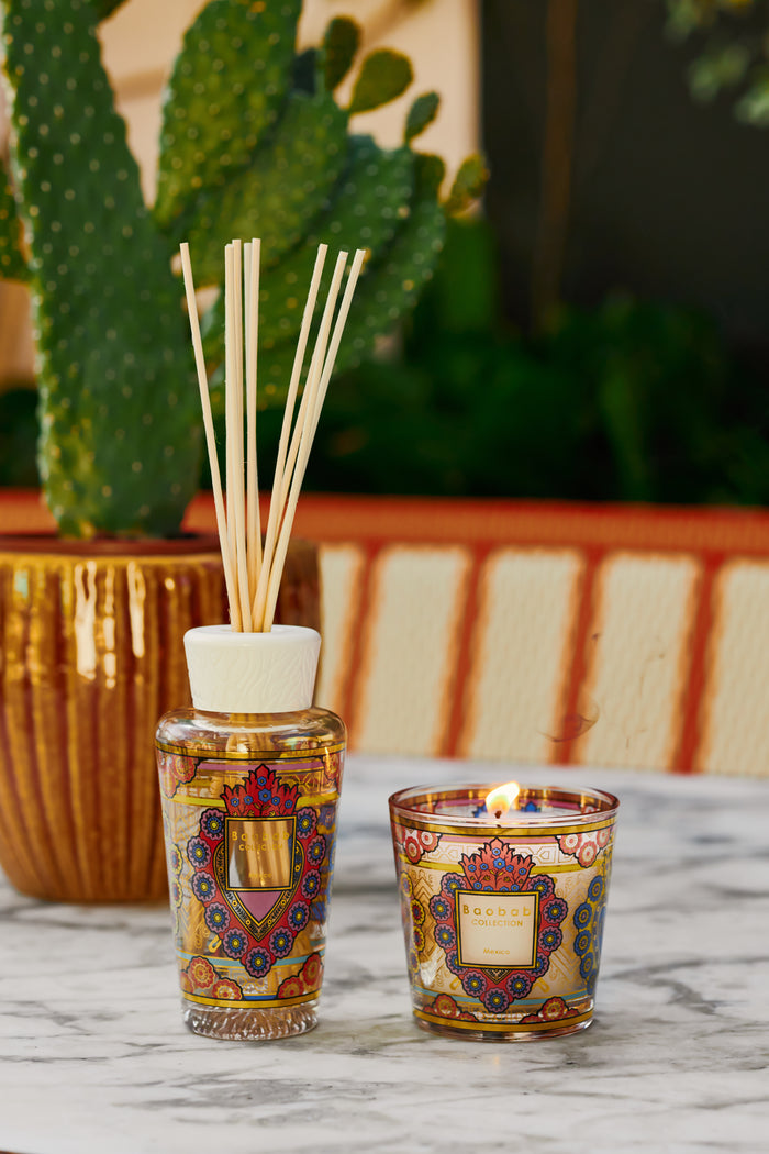 GIFT BOX MY FIRST BAOBAB MEXICO - BAOBAB COLLECTION