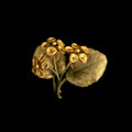 Image of the Michael Michaud Golden African Violet Brooch - Web Exclusive on a black background