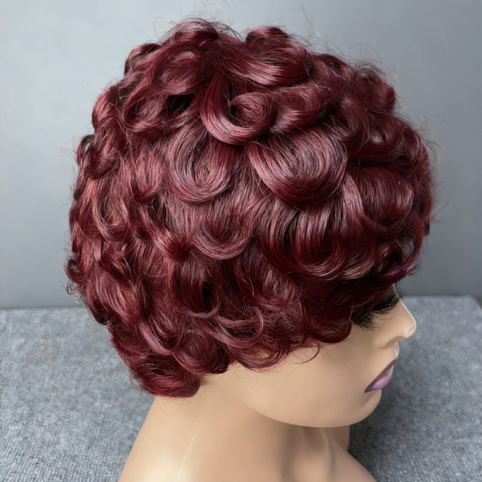 Human Hair Wig with Inner Net