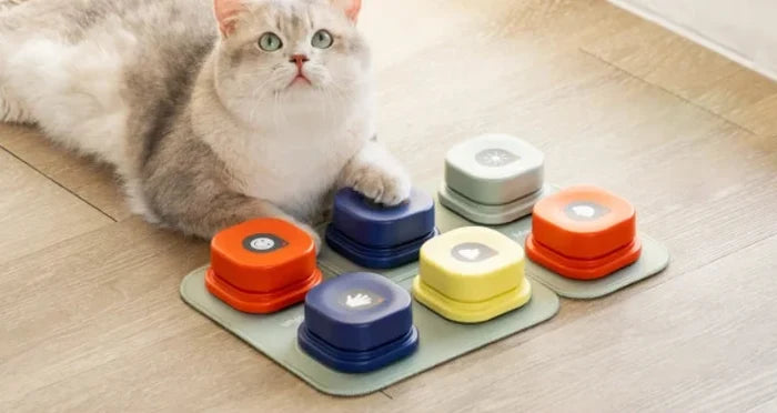 Training buttons set recordable talking dog buttons rubber mat colorful pet communication tool
