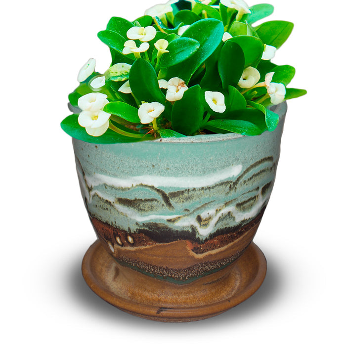 Small planter with a 4 inch diameter. Ideal for succulents. Glazed in turquoise and brown colors. Handmade pottery by Prairie Fire Pottery. Hand made in the U.S.A. View of the planter holding a succulent plant.