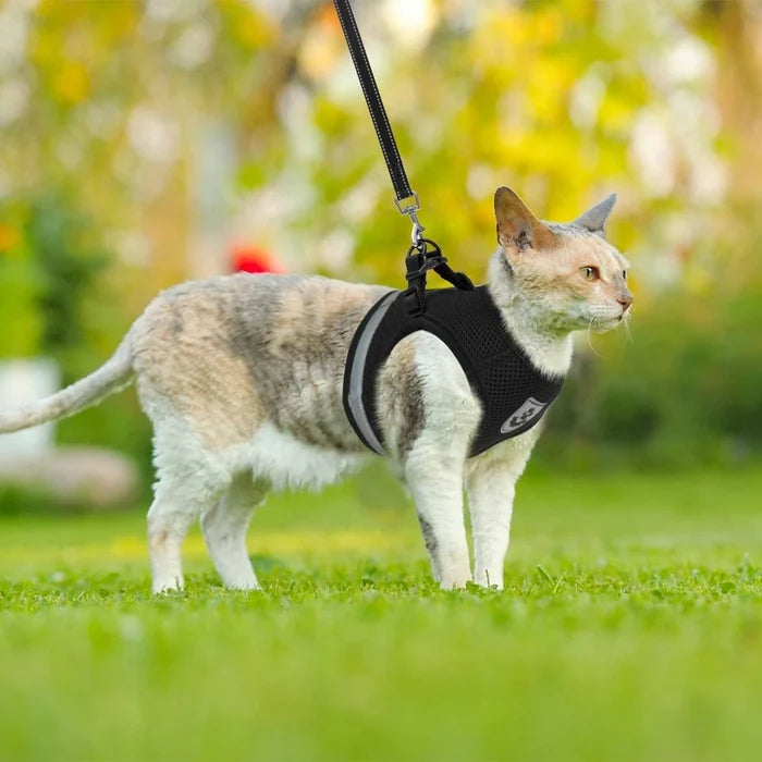Reflective Breathable Harness