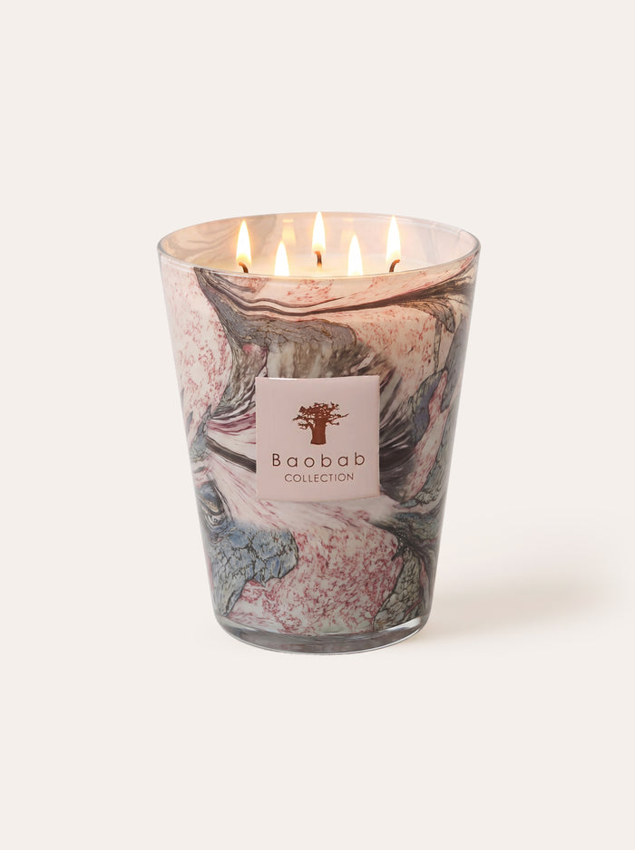 SCENTED CANDLE LEAVES MANON MAX 24