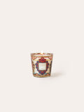 SCENTED CANDLE MY FIRST BAOBAB MEXICO MAX 08
