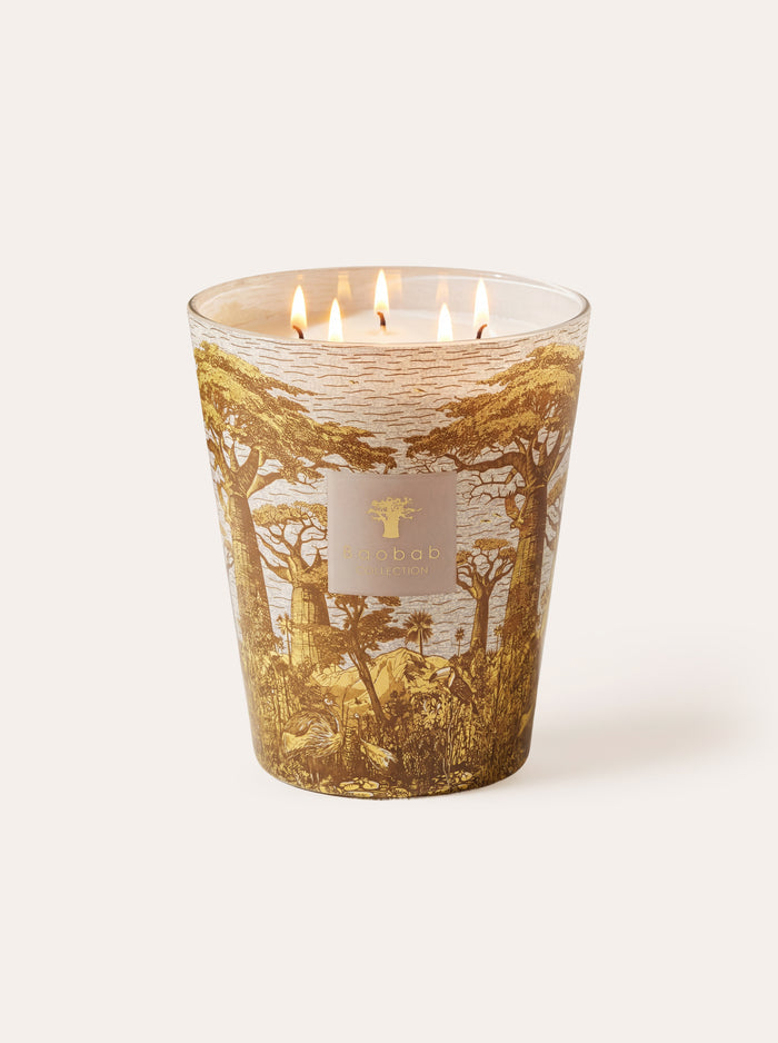 SCENTED CANDLE SACRED TREES BOUNKANI