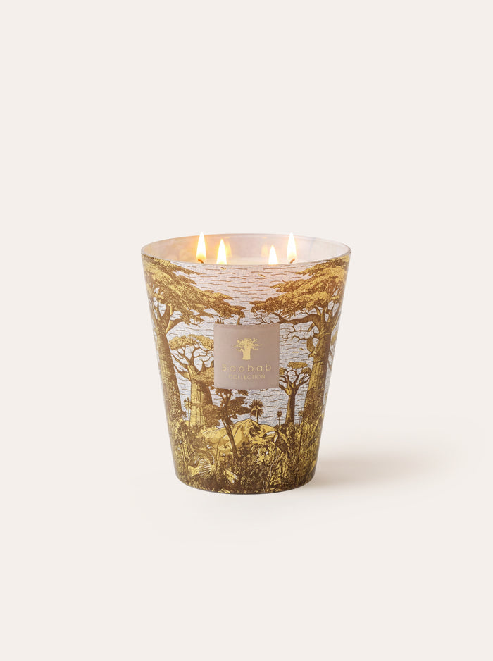 SCENTED CANDLE SACRED TREES BOUNKANI MAX 16
