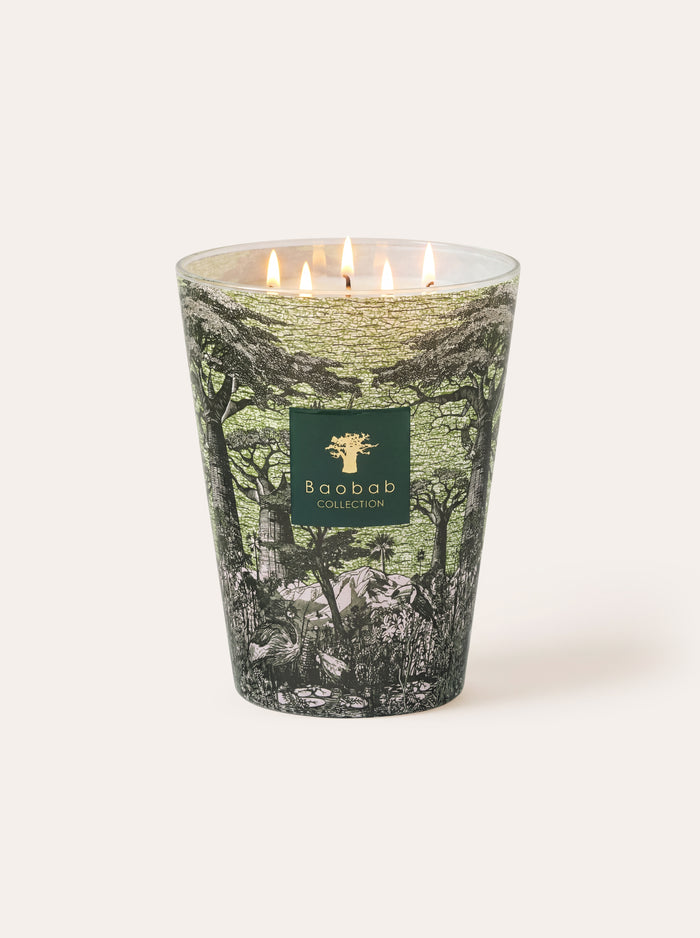 SCENTED CANDLE SACRED TREES TOUBA
