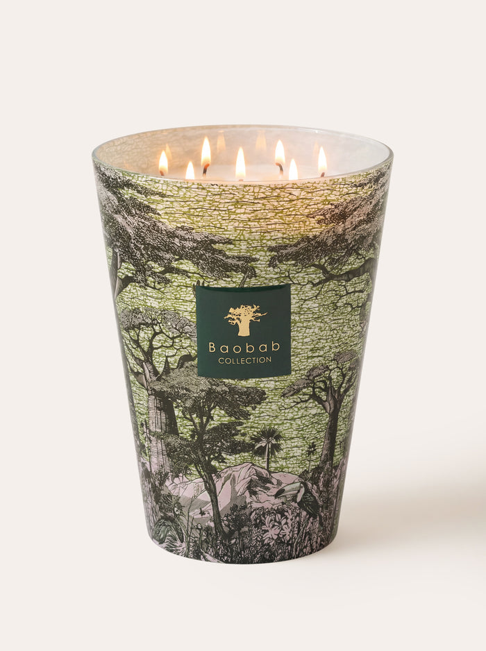 SCENTED CANDLE SACRED TREES TOUBA MAX 35