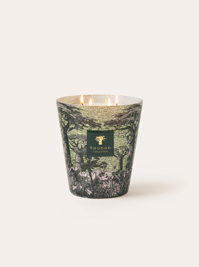 SCENTED CANDLE SACRED TREES TOUBA MAX 16