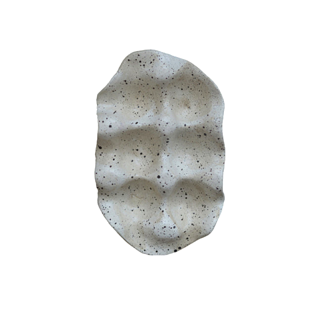6 Egg Tray