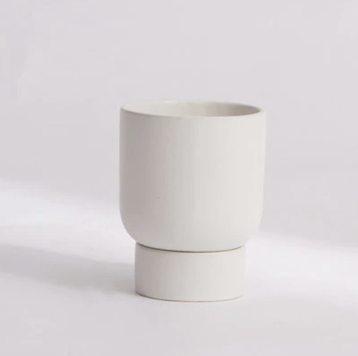 Pearl White / Small