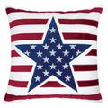 Texis Multi 20" X 20" Pillow