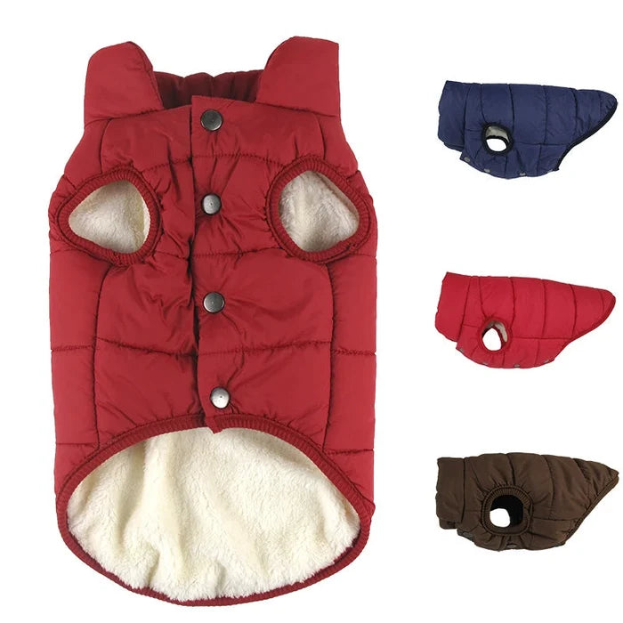 Winter Cotton Dog Coat